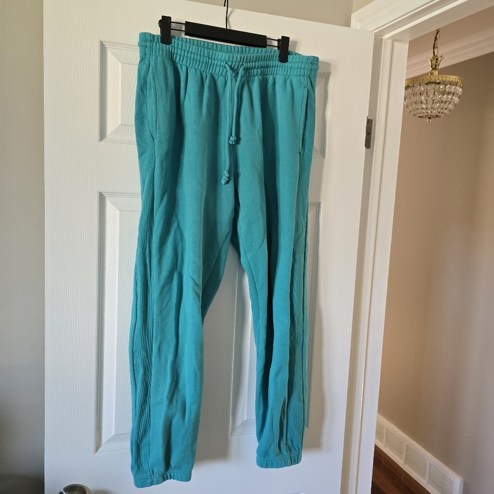 ARITZIA TNA BOYFRIEND Womens Vibrant Teal Joggers